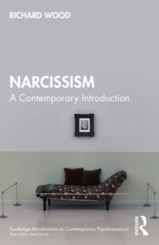 Image of Narcissism : A Contemporary Introduction Paperback / softback