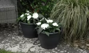 Image of Grey Sabina Plant Pots, Five