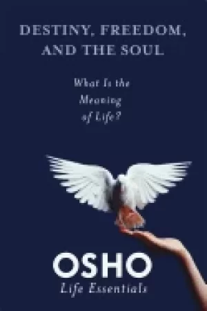 Image of destiny freedom and the soul
