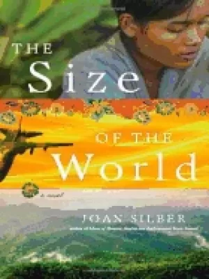 Image of size of the world a novel