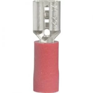Image of Blade receptacle Connector width 4.8mm Connector thickness 0.5 mm