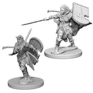 Image of Pathfinder Deep Cuts Unpainted Miniatures (W1) Human Female Paladin