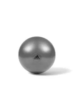 image of 55cm Gym Ball