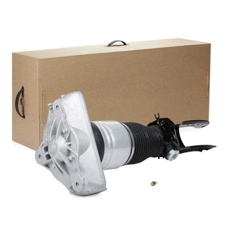 Image of RIDEX Air suspension strut RIDEX 4118A0070