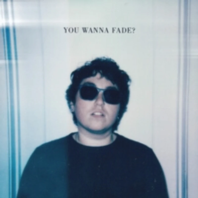 Image of You wanna fade? Vinyl