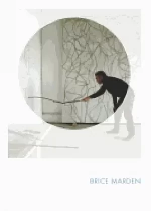 Image of brice marden phaidon focus
