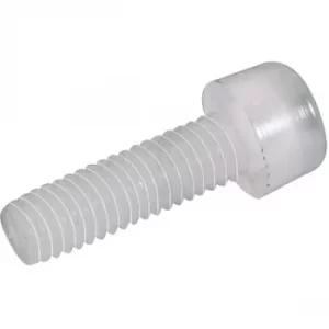 Image of Toolcraft Hexagonal Cylinder Head Screws DIN 912 Polyamide M6 x 60...