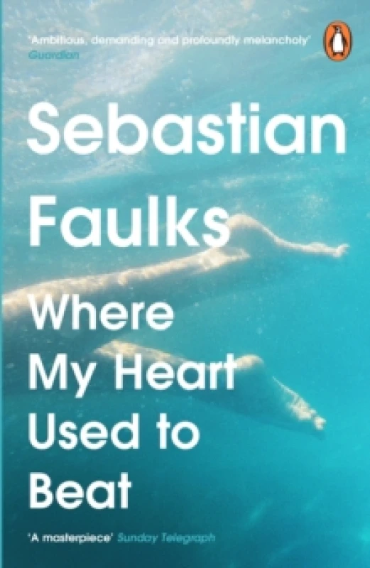 Image of Where My Heart Used to Beat Paperback / softback