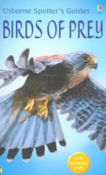Image of Birds of Prey by Peter Holden and R. F Porter and Ian Wallace and David Wright and Peter Holden Paperback