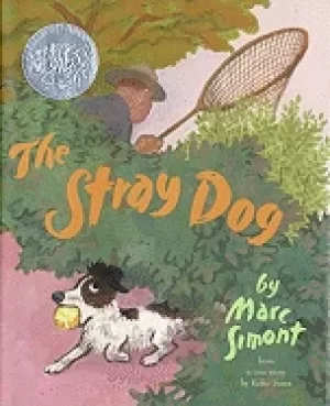Image of stray dog from a true story by reiko sassa