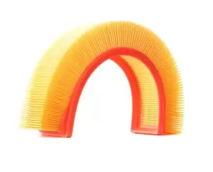 Image of RIDEX Air filter 8A0123 Engine air filter,Engine filter RENAULT,NISSAN,DACIA,CLIO II (BB0/1/2_, CB0/1/2_),KANGOO (KC0/1_),KANGOO Express (FC0/1_)
