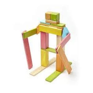 image of 24 Piece Tegu Magnetic Wooden Block Set Tints