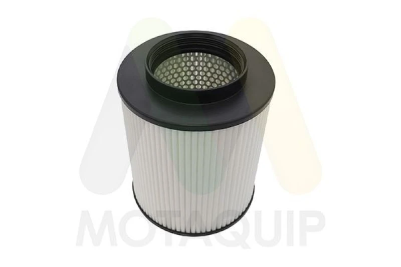 Image of MOTAQUIP Air filter MOTAQUIP LVFA1768