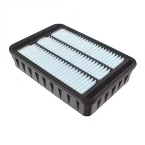 Image of Air Filter ADC42250 by Blue Print