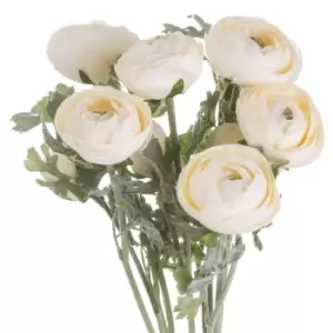 image of Soft Cream Ranunculus