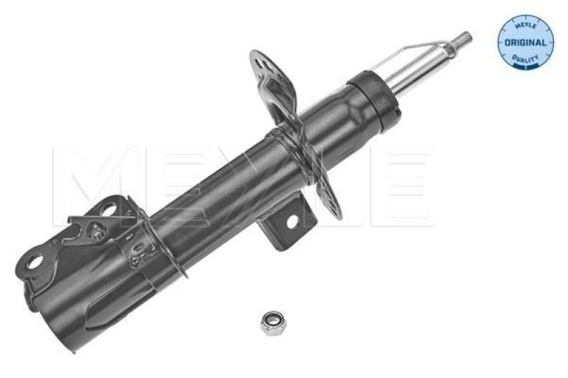 Image of Shock absorber MEYLE 726 623 0048