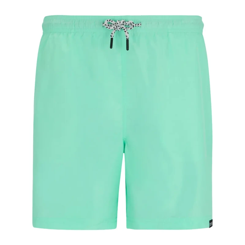 Image of Regatta Swim shorts Regatta Mackleyna Vert Male 3XL
