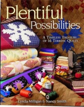 Image of Plentiful Possibilities Paperback