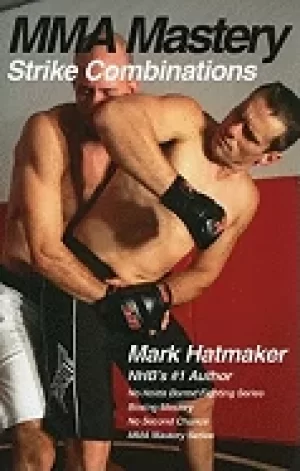 Image of mma mastery strike combinations