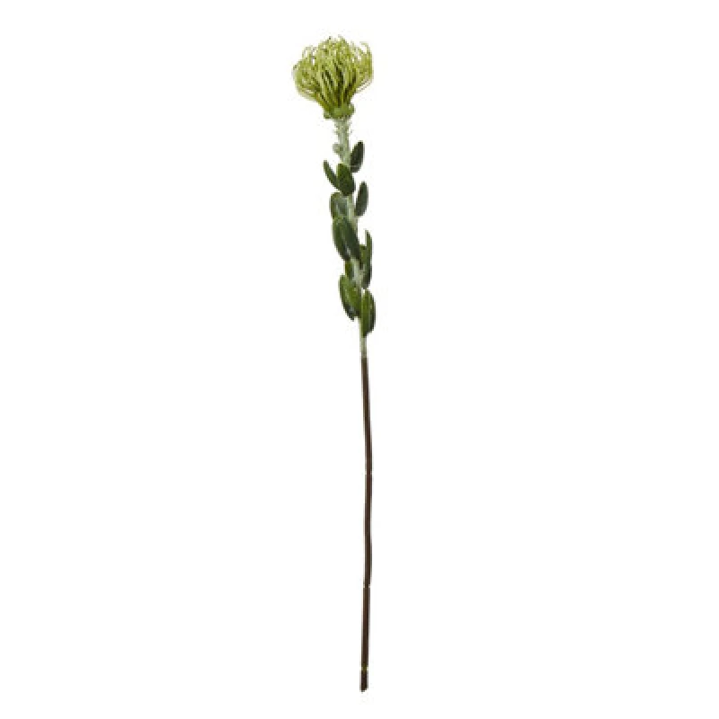 Image of Hill Interiors Pincushion Protea Spray Artificial Flower Green (One Size)