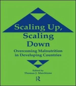 Image of Scaling up Scaling down by Thomas J. Marchione Hardback