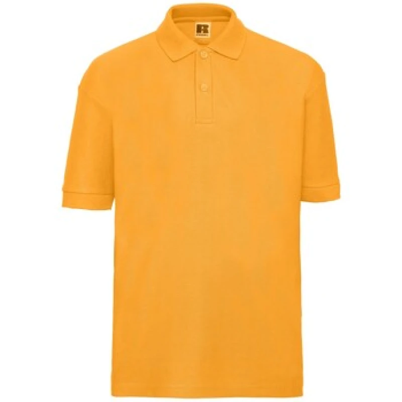 Image of Russell 539B boys's Children's polo shirt in Multicolour