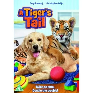 Image of A Tiger's Tail DVD