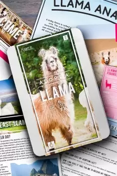 image of Adopt a Llama Gift Pack