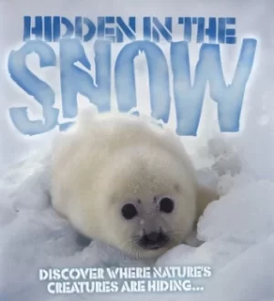 Image of Hidden in the snow by Barbara Taylor
