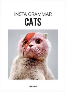 Image of Insta Grammar cats by Irene Schampaert