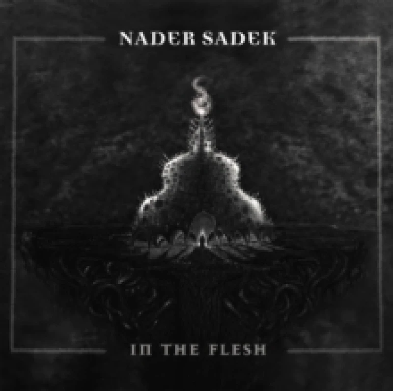 Image of In the Flesh Vinyl
