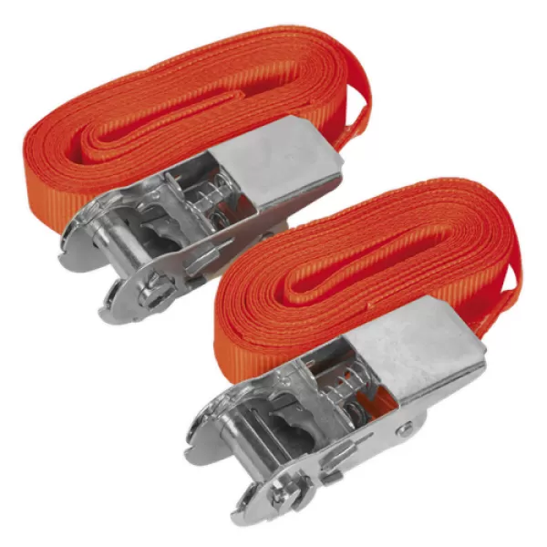 image of Sealey TD05045E Self-Securing Ratchet Tie Down 25mm x 4.5mtr 500kg LoadTest Pair