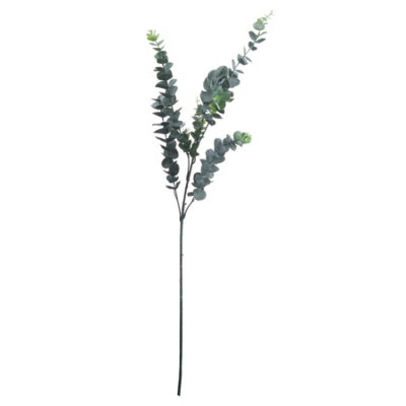 Image of Hill Interiors UK Homeliving Silver Dollar Eucalyptus
