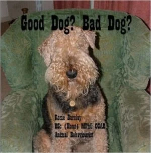 Image of Good Dog Bad Dog by Rosie Barclay Paperback