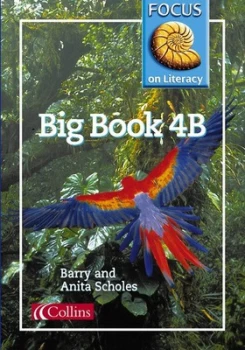 Image of Focus on Literacy 25 - Big Book 4b by Barry Scholes Paperback