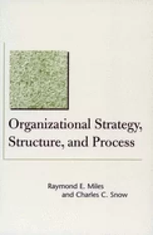 Image of organizational strategy structure and process