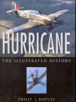 Image of Hurricane by Philip J Birtles Paperback