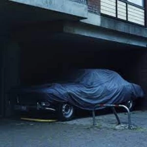 Image of Black Bones- Night Drives