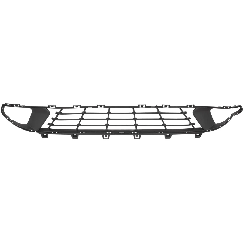 Image of Bumper grill DIEDERICHS 1219045