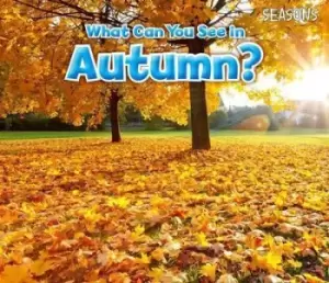 Image of What can you see in autumn? by Sin Smith