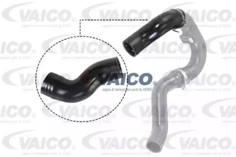 Image of Charger intake hose VAICO V24-0721