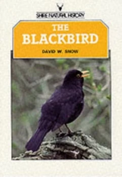 Image of The Blackbird by David Snow Paperback