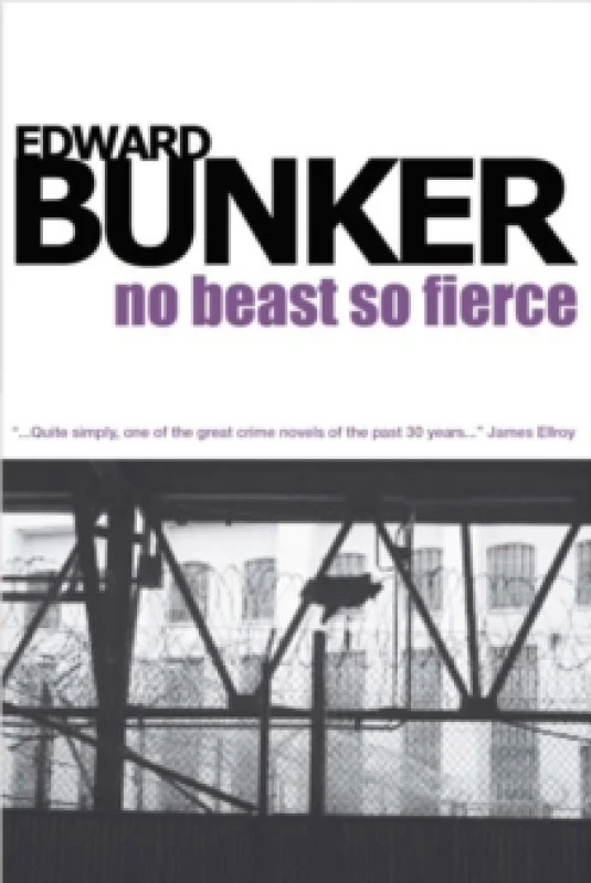 Image of No Beast So Fierce Paperback / softback