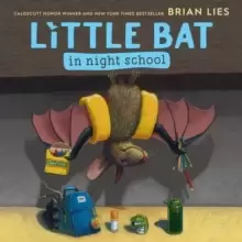 Image of Little Bat in Night School