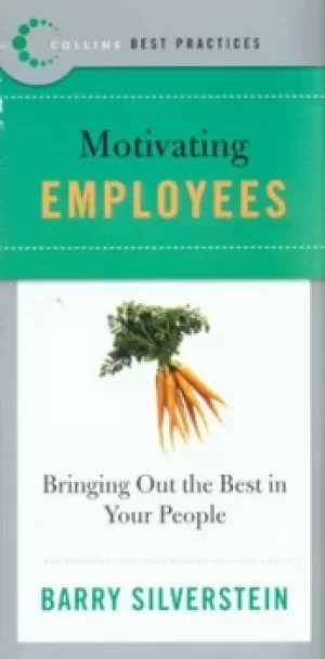 Image of Motivating employees by Barry Silverstein