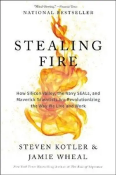Image of stealing fire how silicon valley the navy seals and maverick scientists are 9780062429667