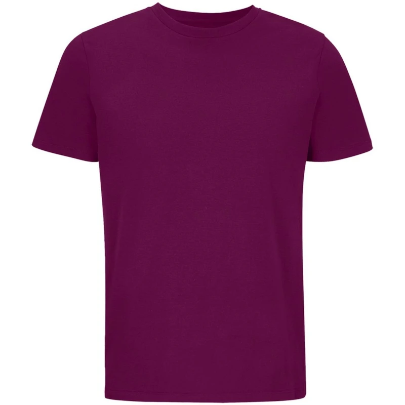 Image of SOL'S Mens Legend T-Shirt in Purple Size: Large Purple Male L