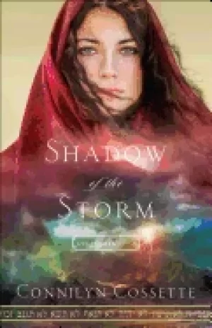 Image of shadow of the storm