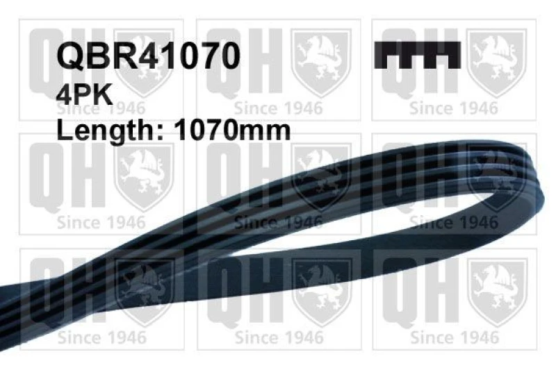Image of QUINTON HAZELL Serpentine belt QUINTON HAZELL QBR41070