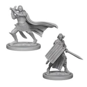 Image of Pathfinder Deep Cuts Unpainted Miniatures - Elf Male Paladin